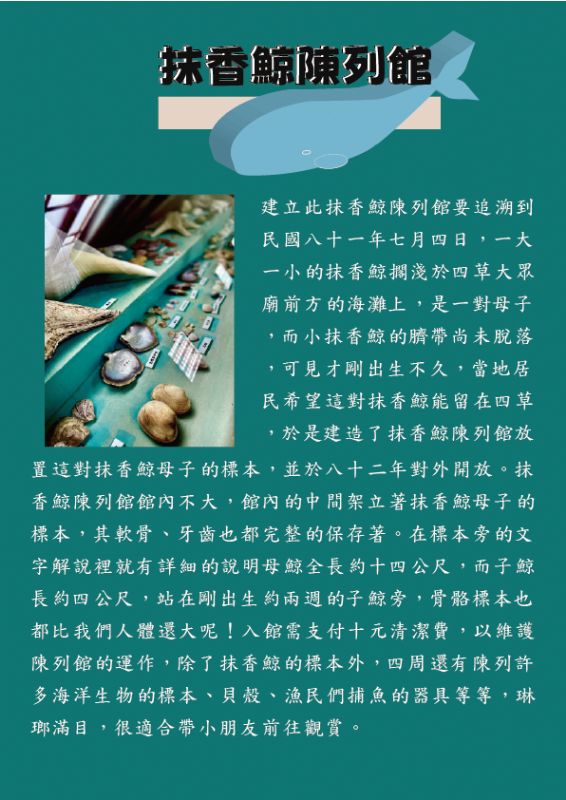 抹香鯨博物館